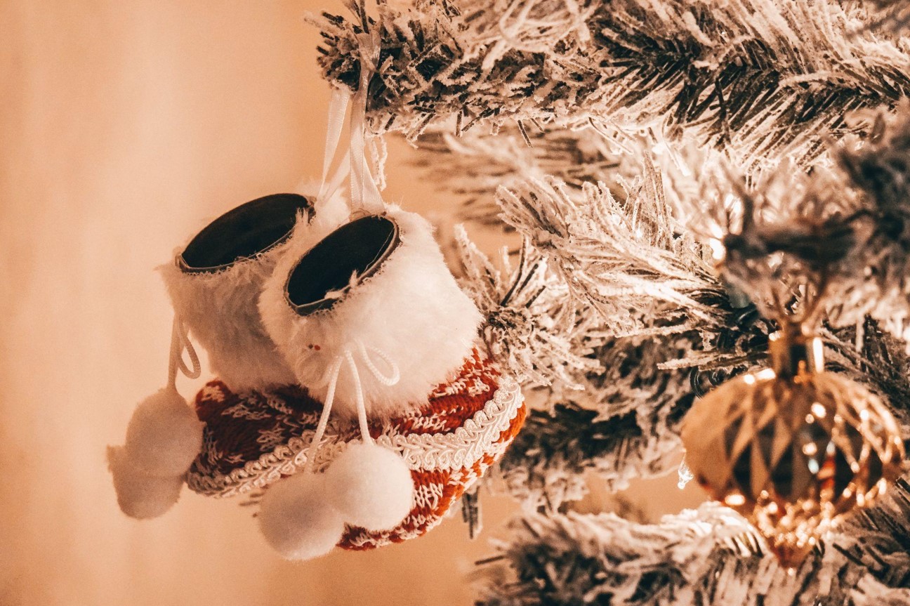 Find the Perfect Christmas Tree for Sale